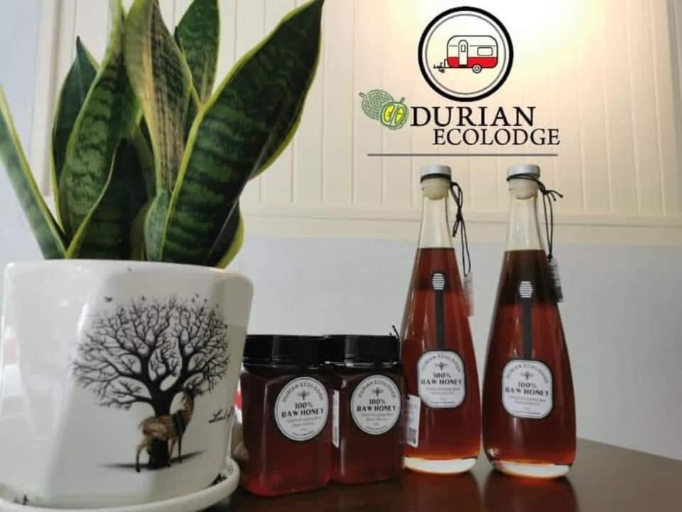 Durian Ecolodge photo