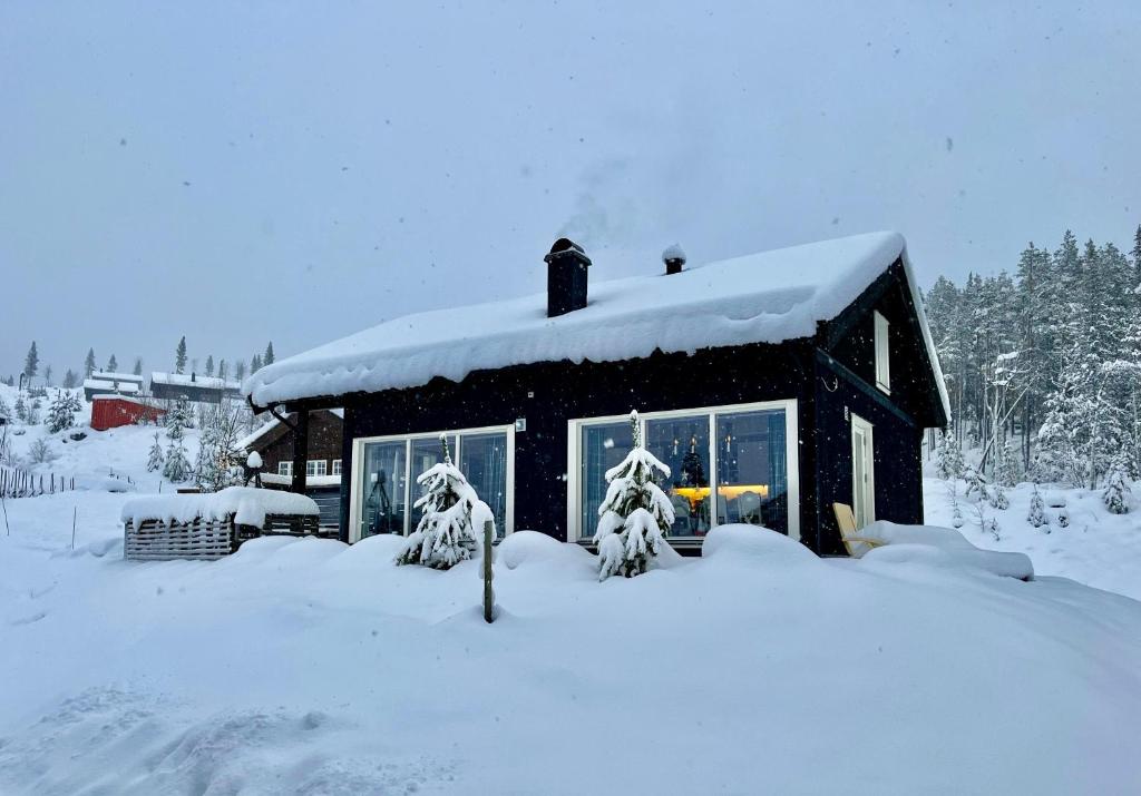 Great cabin in Hemsedal wifi golf ski eldorado