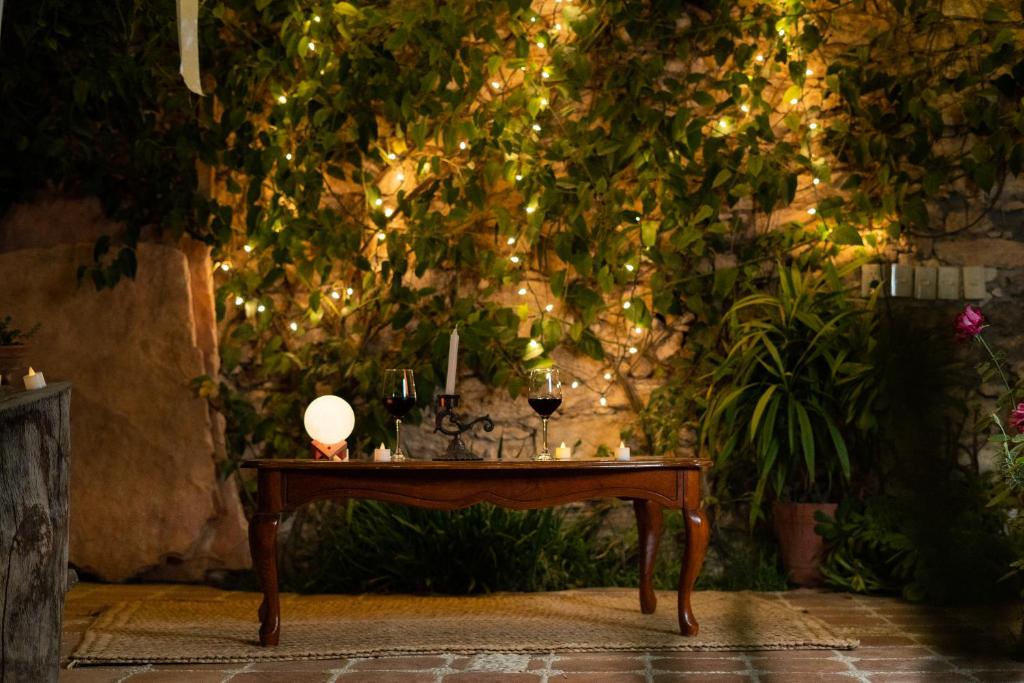 Hotel Colibri photo