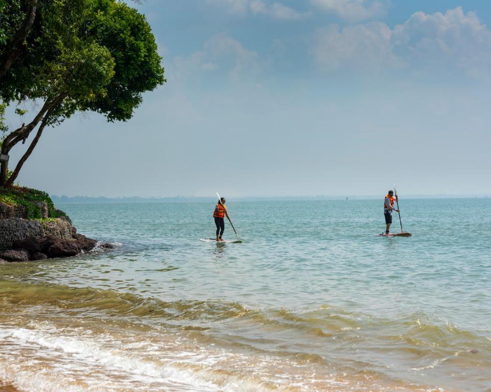 Surrounding environment