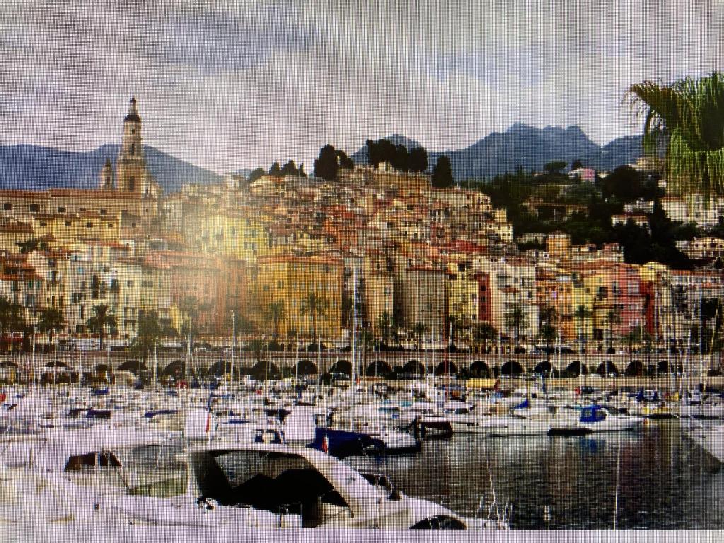 A 15 minutes de Monaco avec parking et piscine - 4