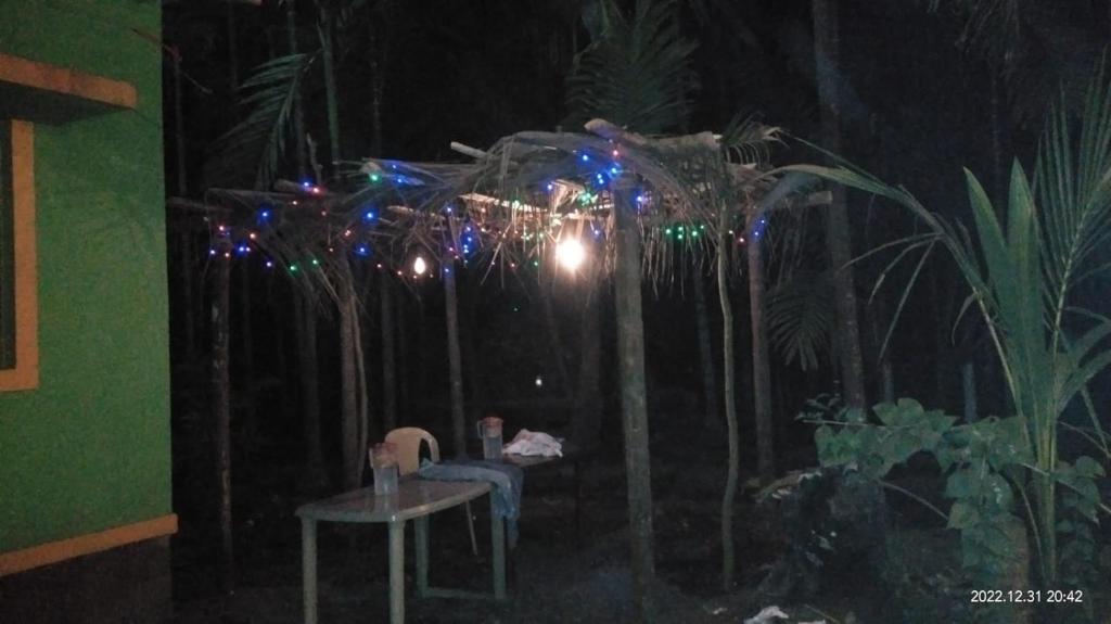Swasthi Farmhouse photo