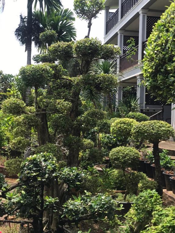 Pratum Resort photo