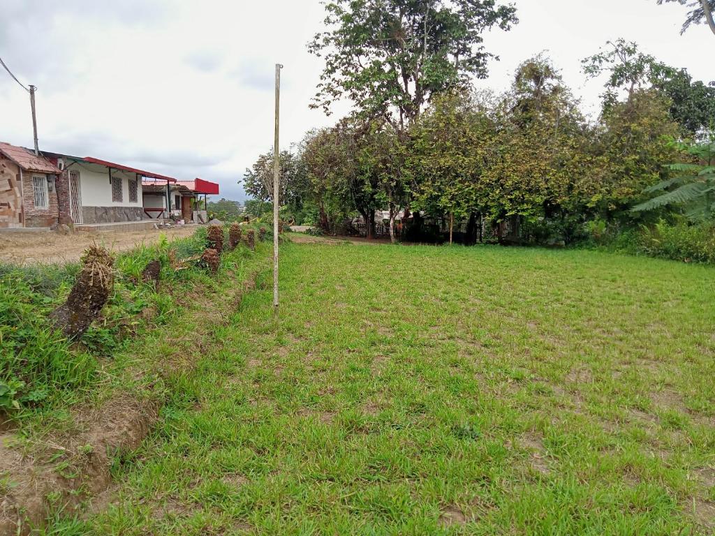 Agroturismo Voluntariado Bellavista - 5