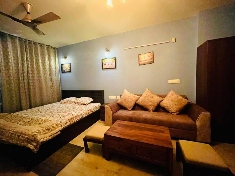 Morden studio apartment with rooftop & pool in Jaipur, India reviews