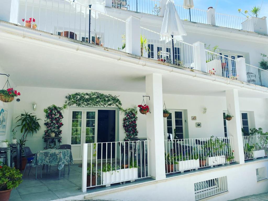 El nido del Chorro — Hotel in Alora