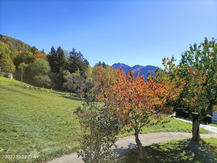 Gîte Cœur de Haute-Savoie - 3