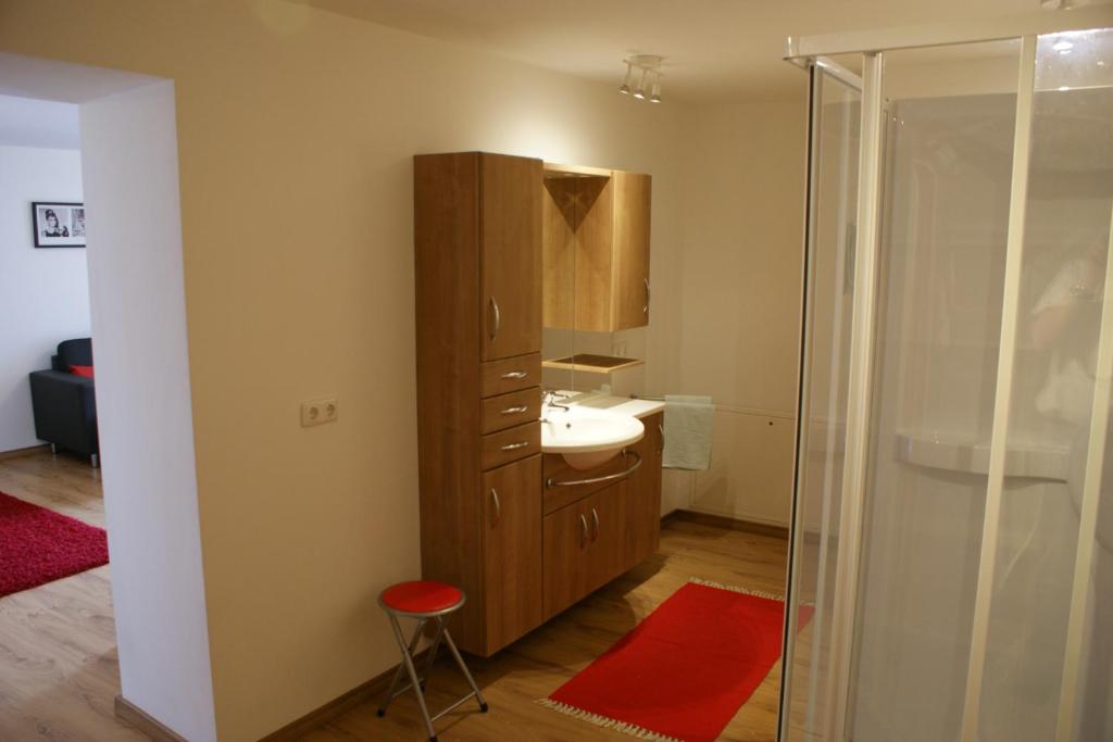 Hotel Apartment Auwirt photo