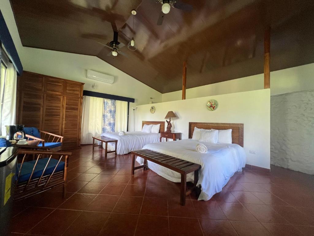 Blue Banyan Inn photo