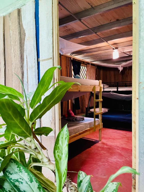 Habitación Familiar con baño compartido