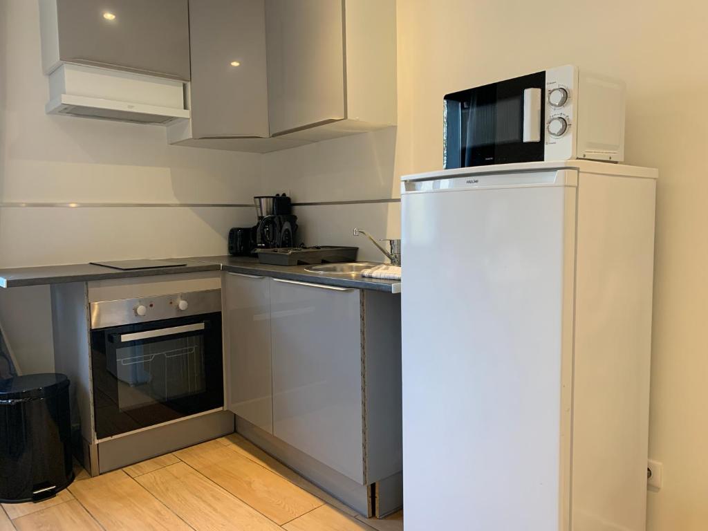 Appartement duplex proche zénith, mégacité, stade - 5