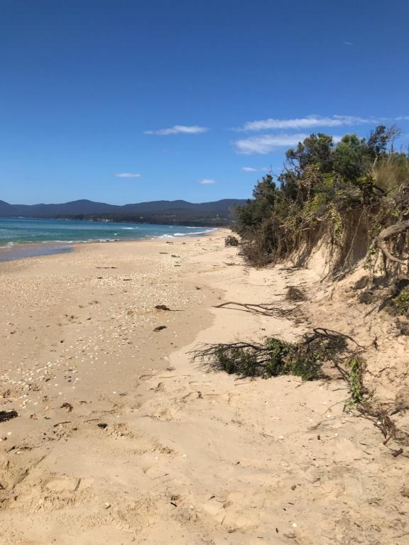 A Slice of Paradise photo