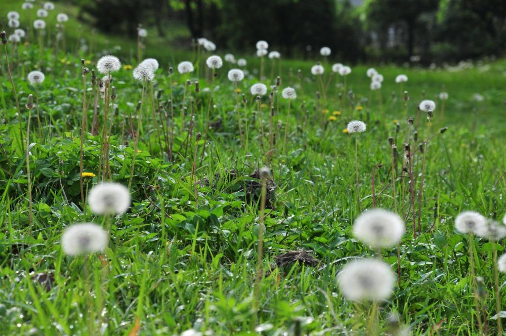 Surrounding environment