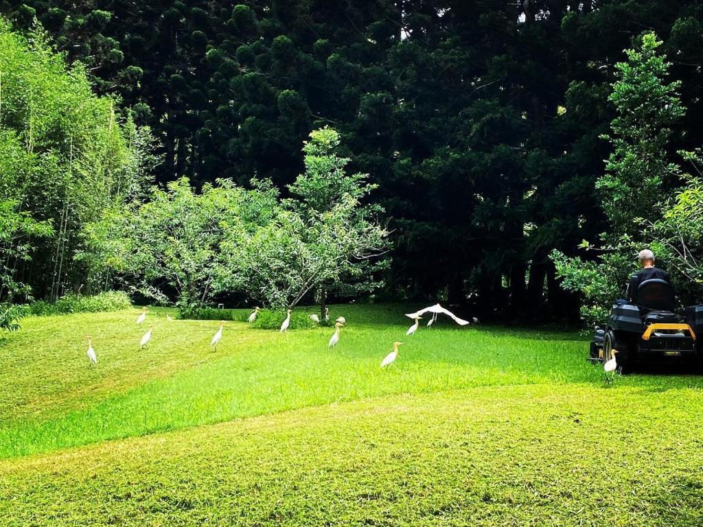 Surrounding environment