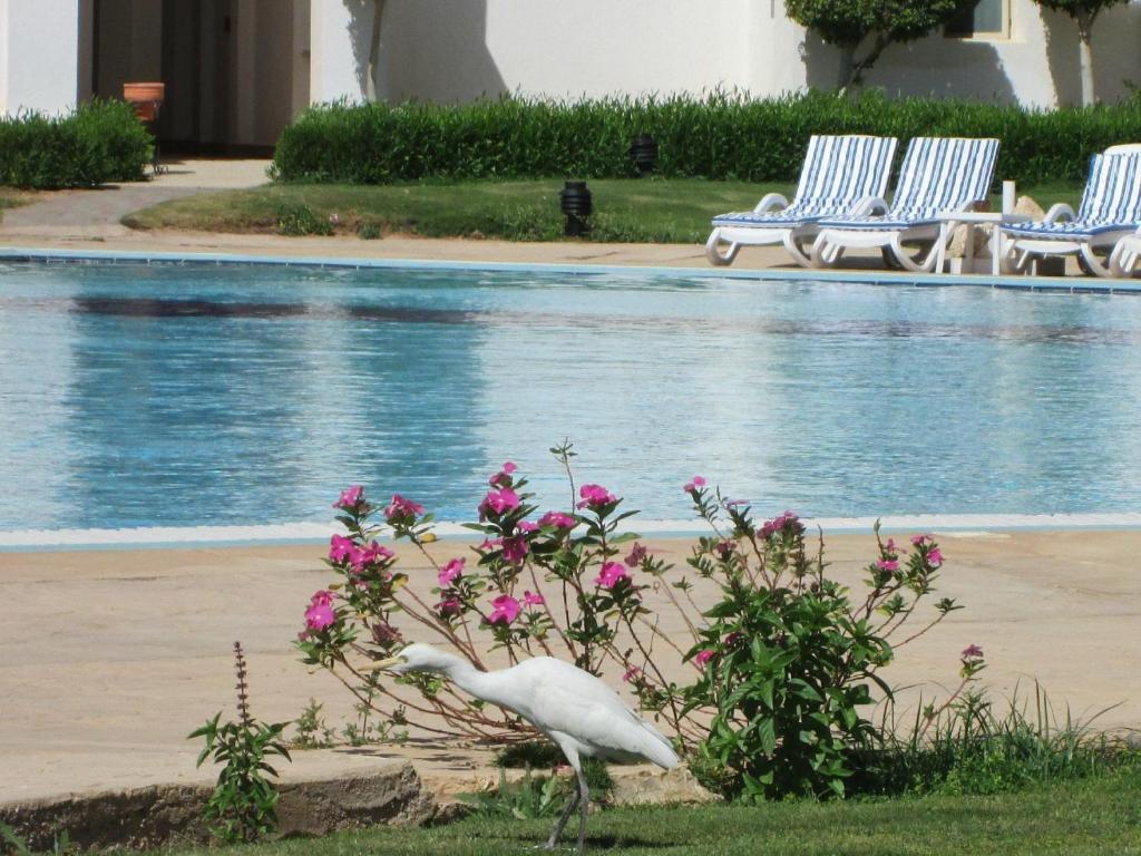 Surrounding environment