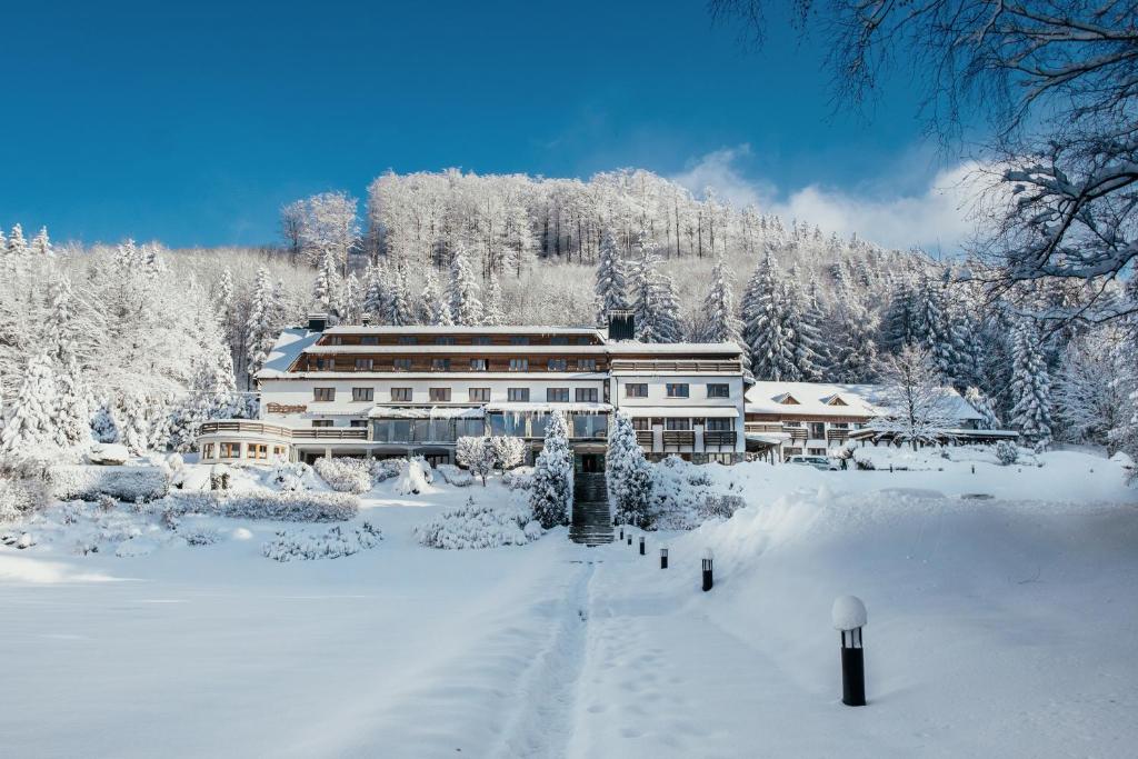 Hotel Troyer photo
