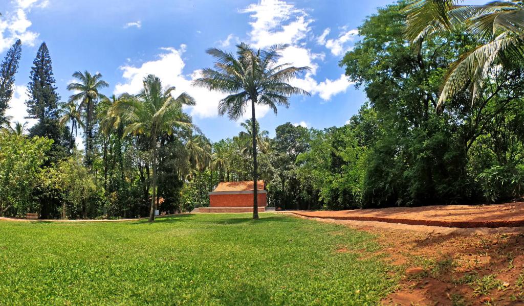 Surrounding environment