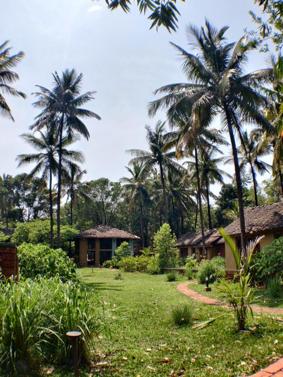 Surrounding environment, orchard resort in Belgaum