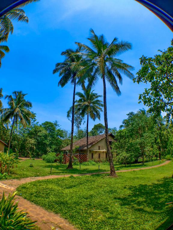 Beautiful natural surroundings