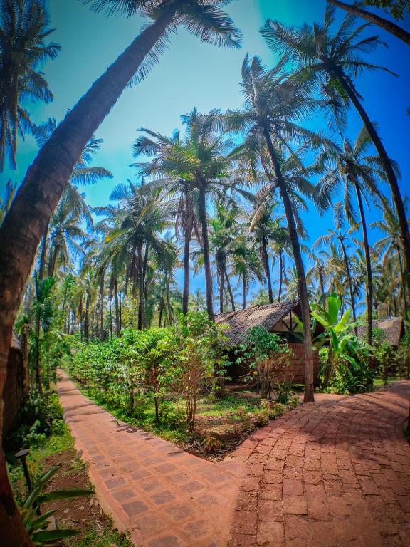 Surrounding environment