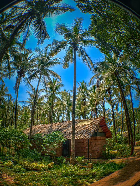 Surrounding environment