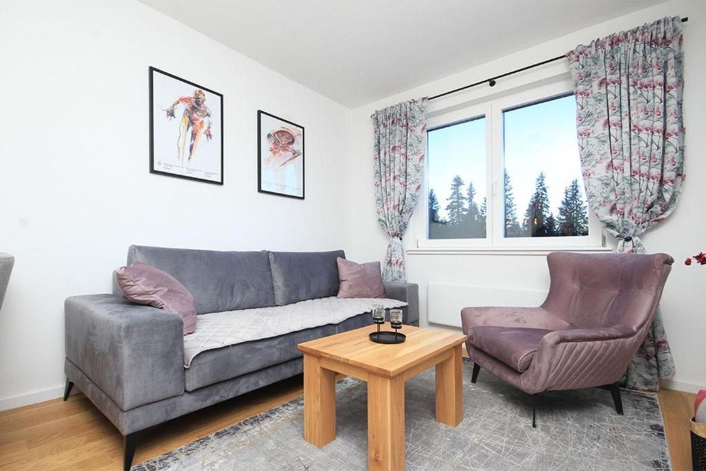A&E Apartman - Snježna dolina - 3