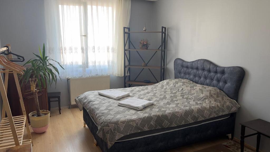 Kapalı