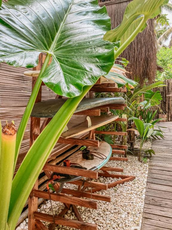 Tarzan's Tree House DOT accredited photo