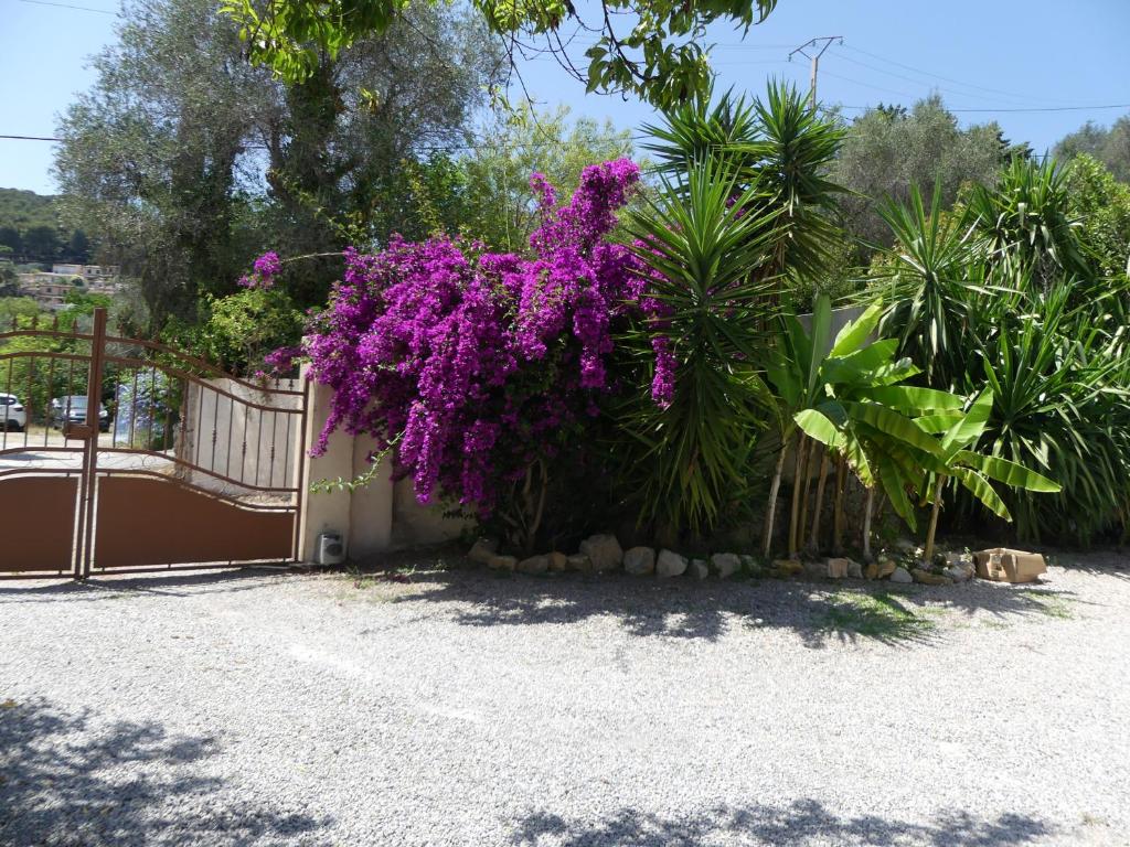Luxueuse Villa Climatisée à Cannes - 4