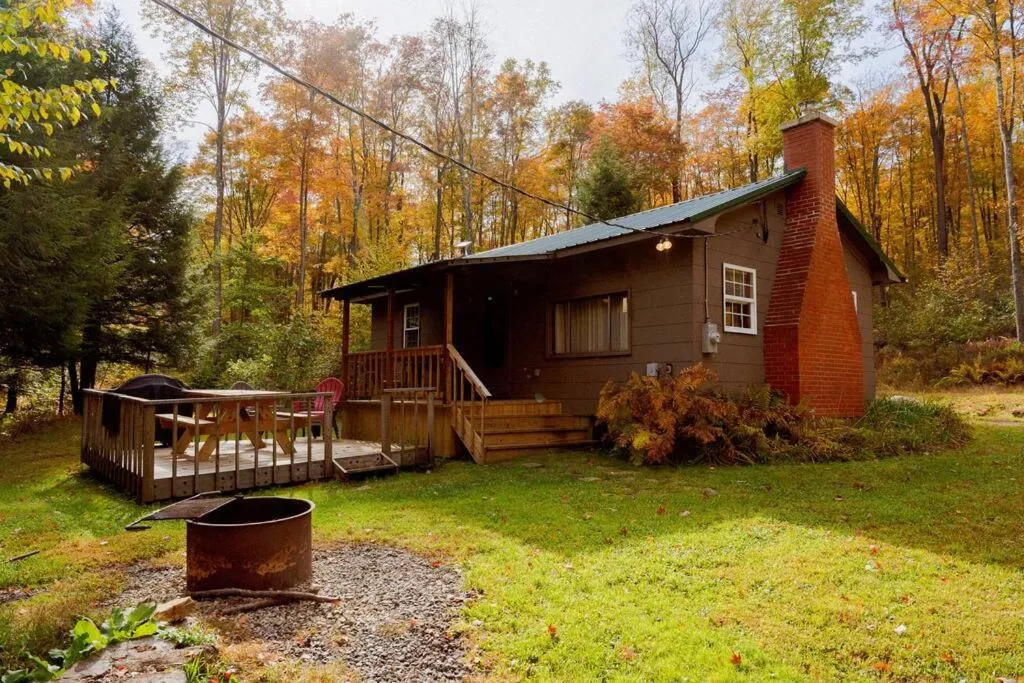Salmon Creek Cabin - Allegheny National Forest, hotel in Marienville