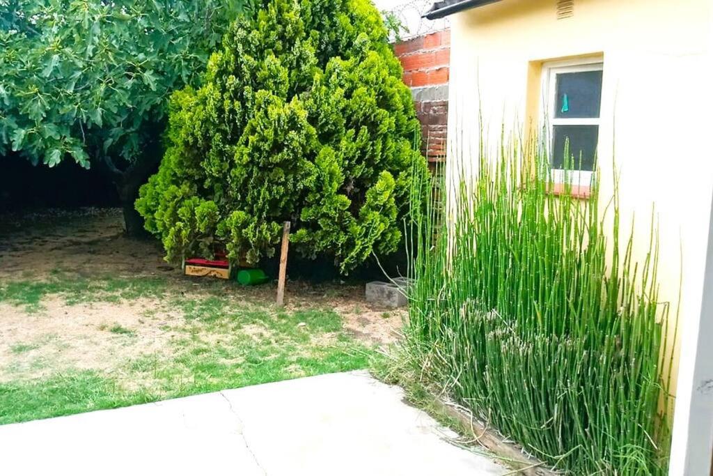 casa MiLú, en zona Güemes - 5