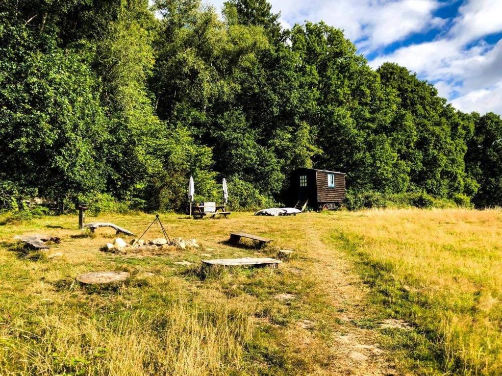 Secluded Shepherd's Hut, Rake photo 6