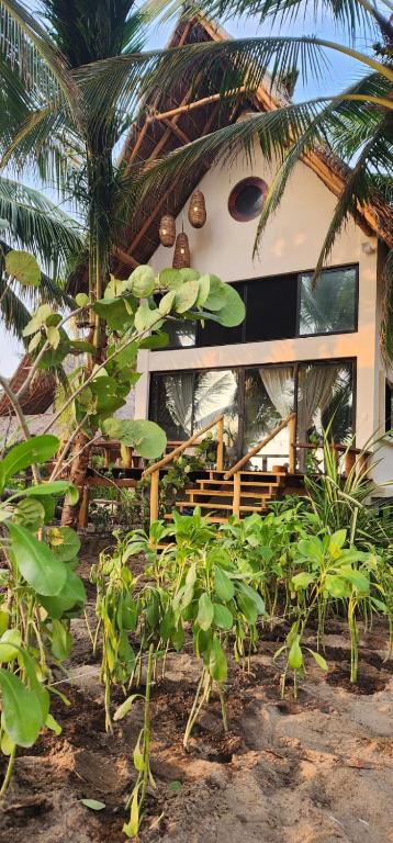Casa Coyul