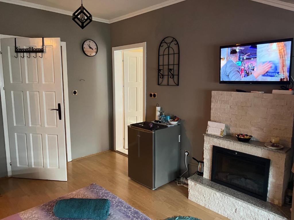 President spa apartman Arandjelovac photo