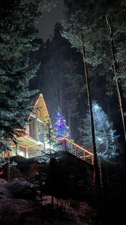 Hut In Hatsvali, Mestia