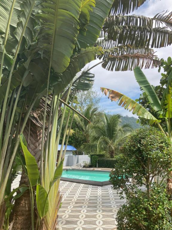 Blue Resort photo