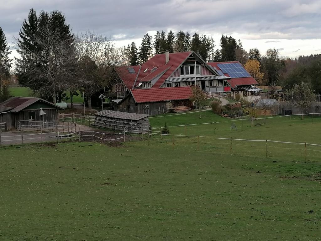 Spehnerhof - 3