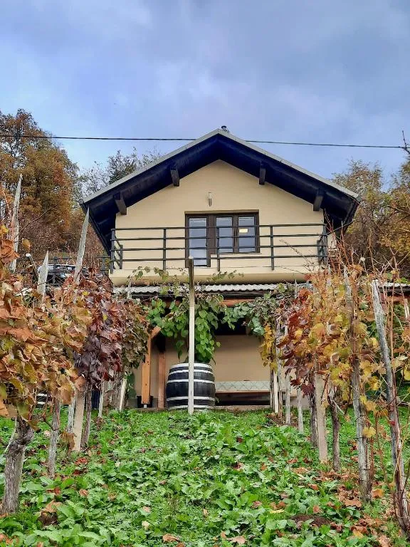 Vineyard cottage Kulovec, hotel en Uršna Sela