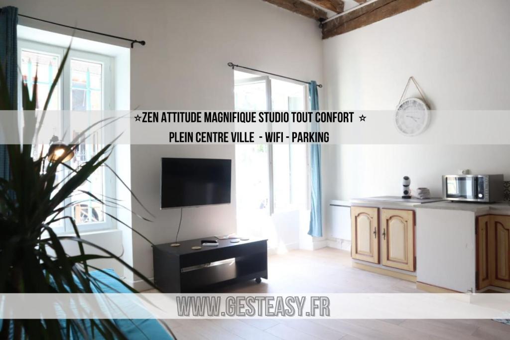Zen Attitude Gesteasy Confort