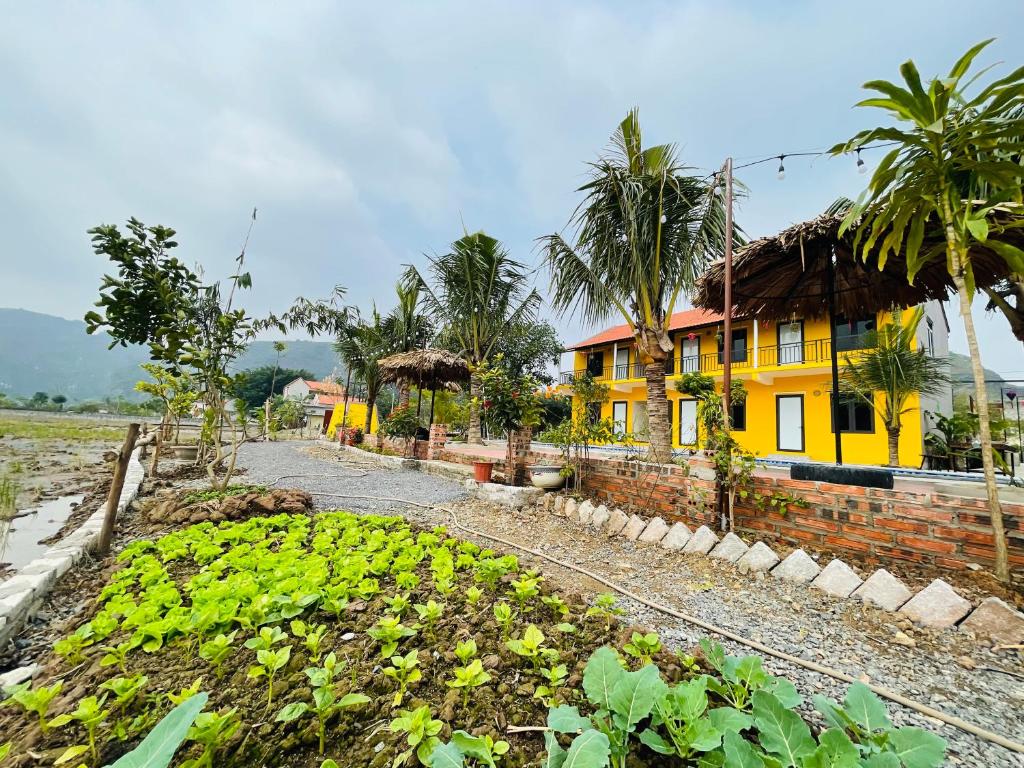 Hang Mua Mountain View Homestay