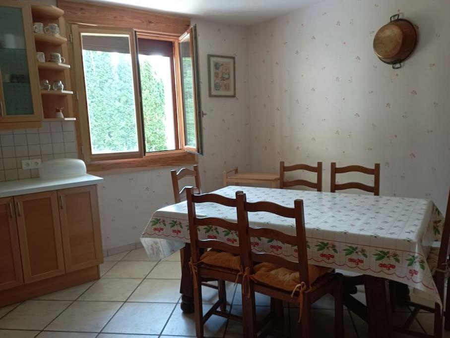 Grand appartement rez-de-chaussée avec jardin Briançon - 5
