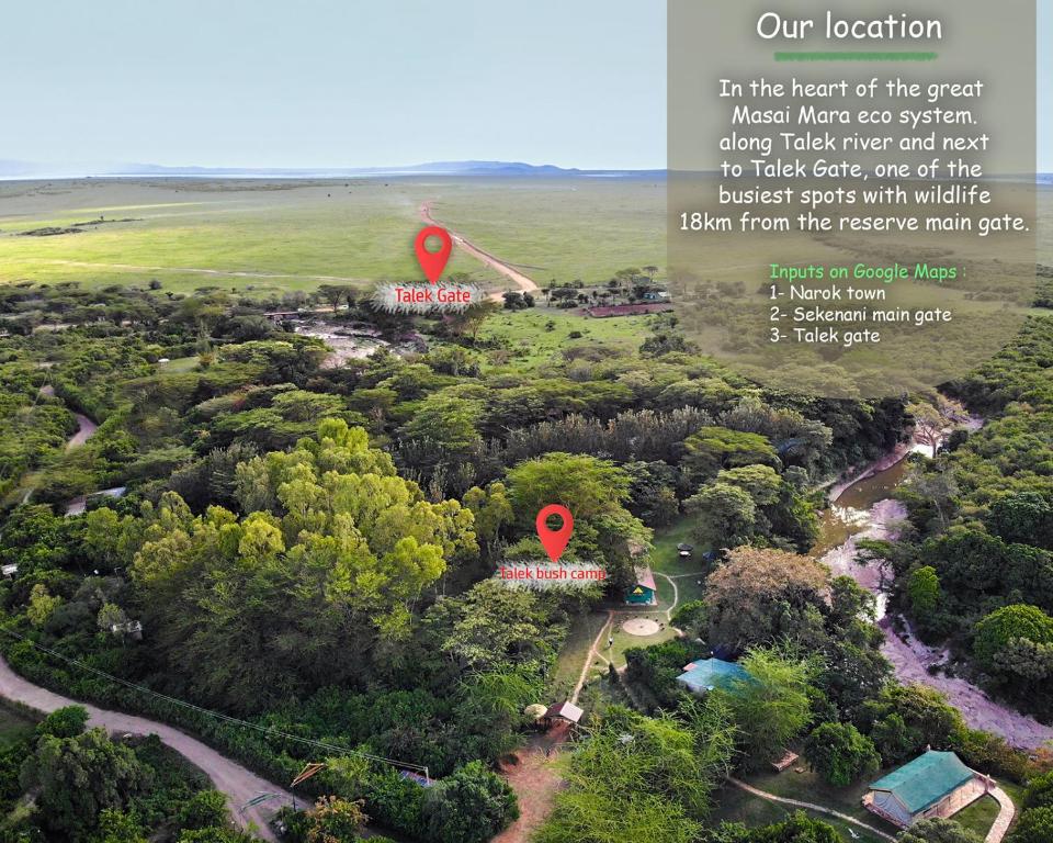 Talek Bush Camp , Masai Mara photo