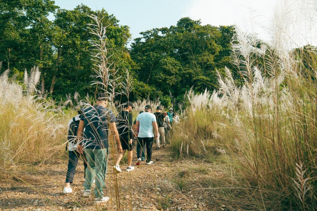 Surrounding environment