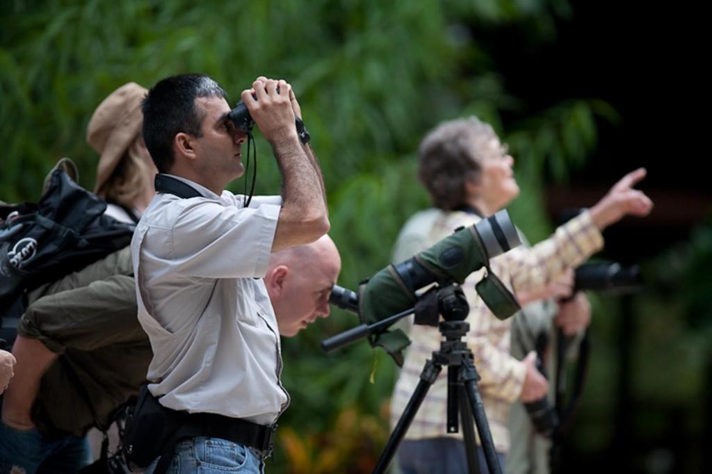 Selva Verde Lodge photo