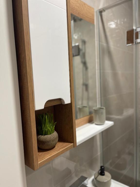 Apartman Dora, Divčibare