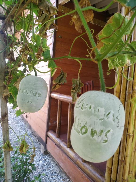 Nana Bungalows photo