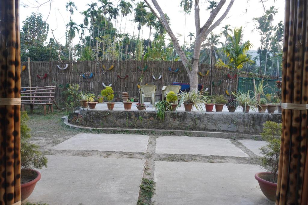 Kaziranga Eco Camp photo