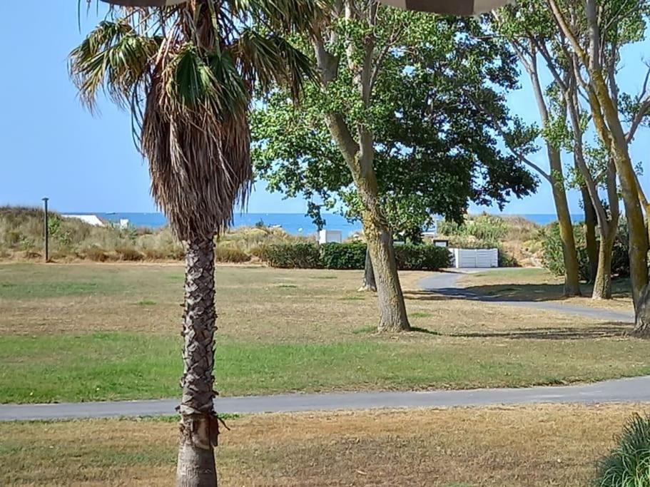 Amouvera C14, T2 vue mer, piscine, clim, parking, Cap d'Agde