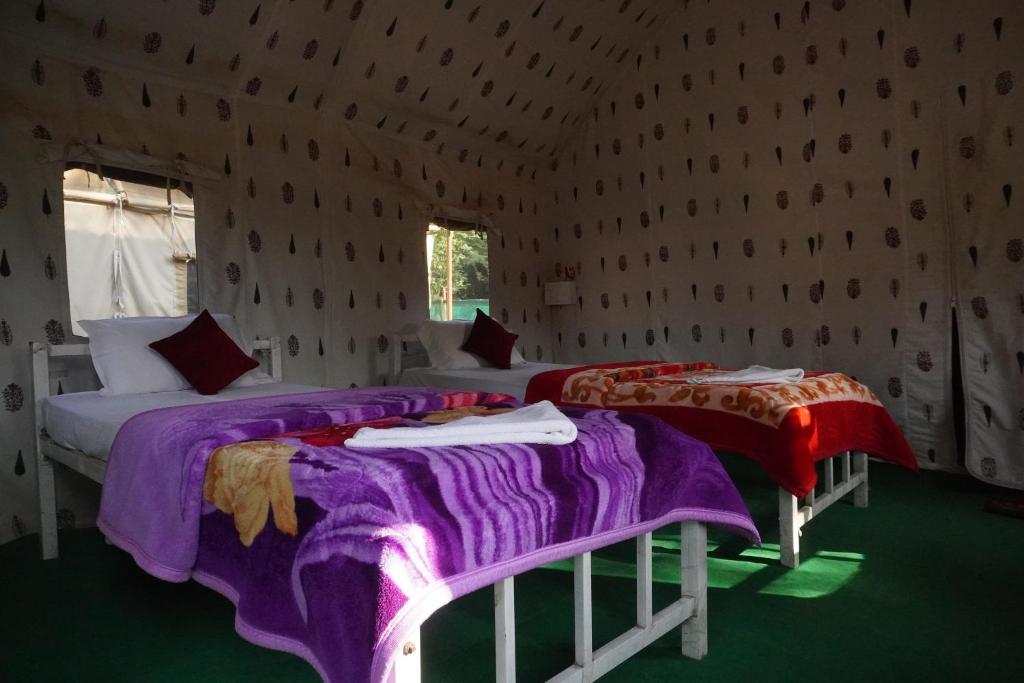 Kaziranga Eco Camp photo