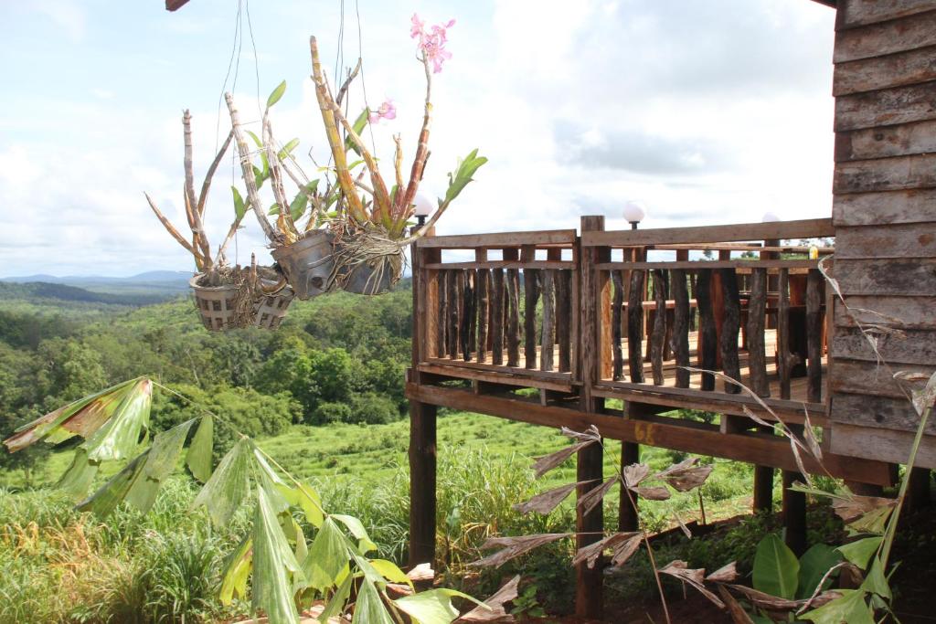Natural House Farm Stay